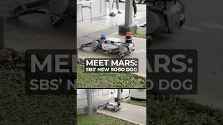 Meet Mars: The robotic dog patrolling Seletar Bus Depot