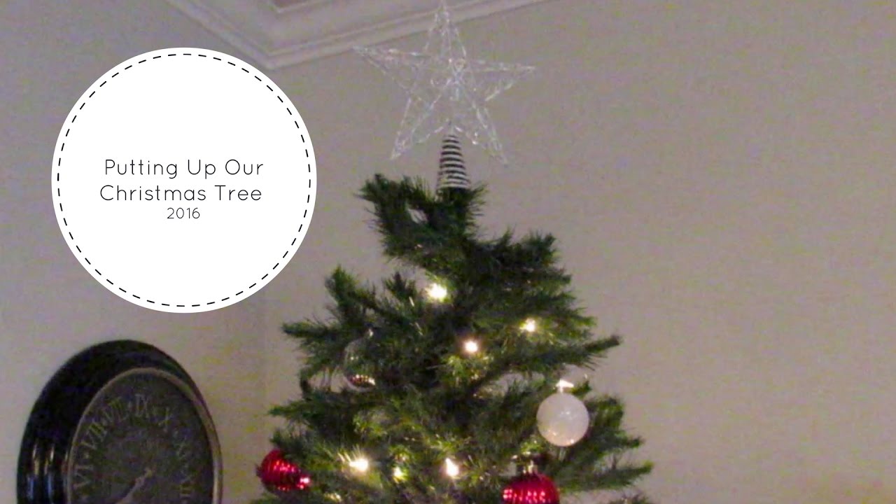 We Put Up Our CHRISTMAS TREE!!! - YouTube