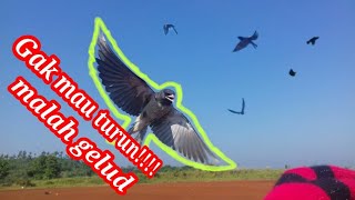 Playtube Pk Ultimate Video Sharing Website