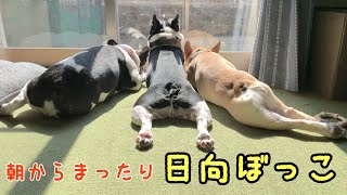 【３ケツ】朝からフレブルのお尻に癒されちゃってください♡