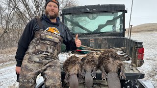 First check on the DnR recommended property!!! Is it cursed