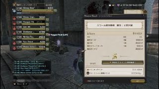 【DDON】WMジフール砦：大将討滅　セジ視点(初心者)　３分５０秒　８５５０DP【練習】