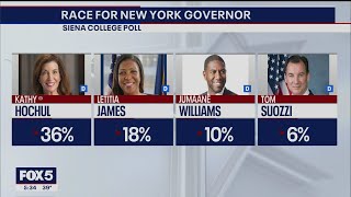 NY governor's race