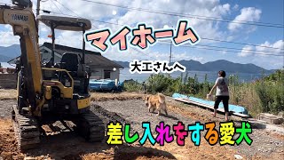 【愛犬と住む家作り】大工さんへ差し入れを届ける愛犬ホット