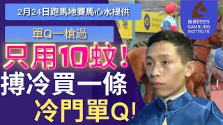 【賽馬貼士】2月24日 單Q一槍過｜只用10蚊搏冷買一條冷門單Q！｜兩匹馬有根有據！好大機會跑贏！