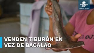 Advierten que pescaderías y restaurantes venden tiburón en vez de bacalao