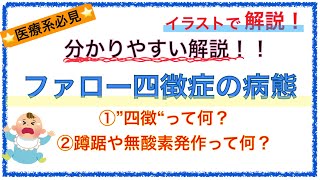 教科書をわかりやすく！「ファロー四徴症の病態とは？」〜蹲踞や無酸素発作の仕組みを解説！〜