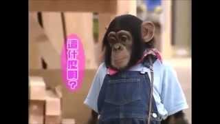 Monkey \u0026 Dog - Lost in Park Episode [ English SUB]