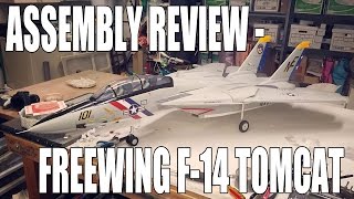 Assembly Review -- Freewing F-14 Tomcat (twin 80mm EDF)