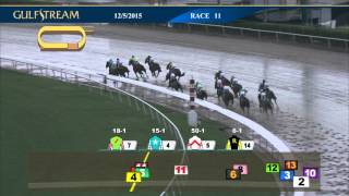 Gulfstream Park Race 11 | December 5, 2015