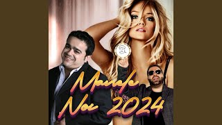HITURILE VERII 2024 1 ORA DE MANELE NOI Cele Mai Noi Melodii 2024