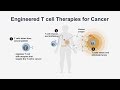 Engineering Immune Cells to Recognize and Kill Cancer