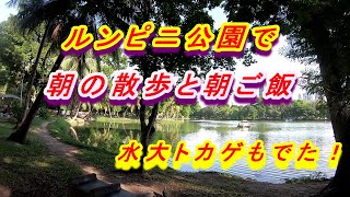 ルンピニ公園を散策-屋台で朝ご飯　早朝の公園ではみんな楽しんでました。