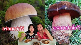 เห็ดผึ้งหวานVSเห็ดผึ้งเลือด อะไรอร่อยกว่ากัน ep249/2019