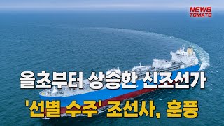 연초부터 상승한 신조선가…'선별 수주' 조선사, 훈풍 [말하는 기자들_산업_0116]