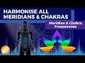 Full Meridian & Chakra Frequencies Treatment || Absorb More Universal Energy (Qi) • For Best Health