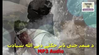 da manama che der khukuly d ALLAH Pashto Nazam Naat Jihadi Tarana pushto Nazm Islamic Video Tutor TV
