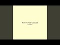 River Forest Cascade