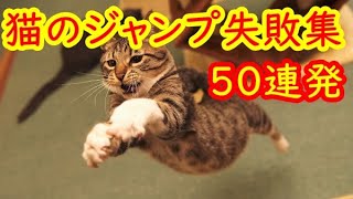 【2020年】猫ジャンプ失敗集【GIF50連発まとめ動画】