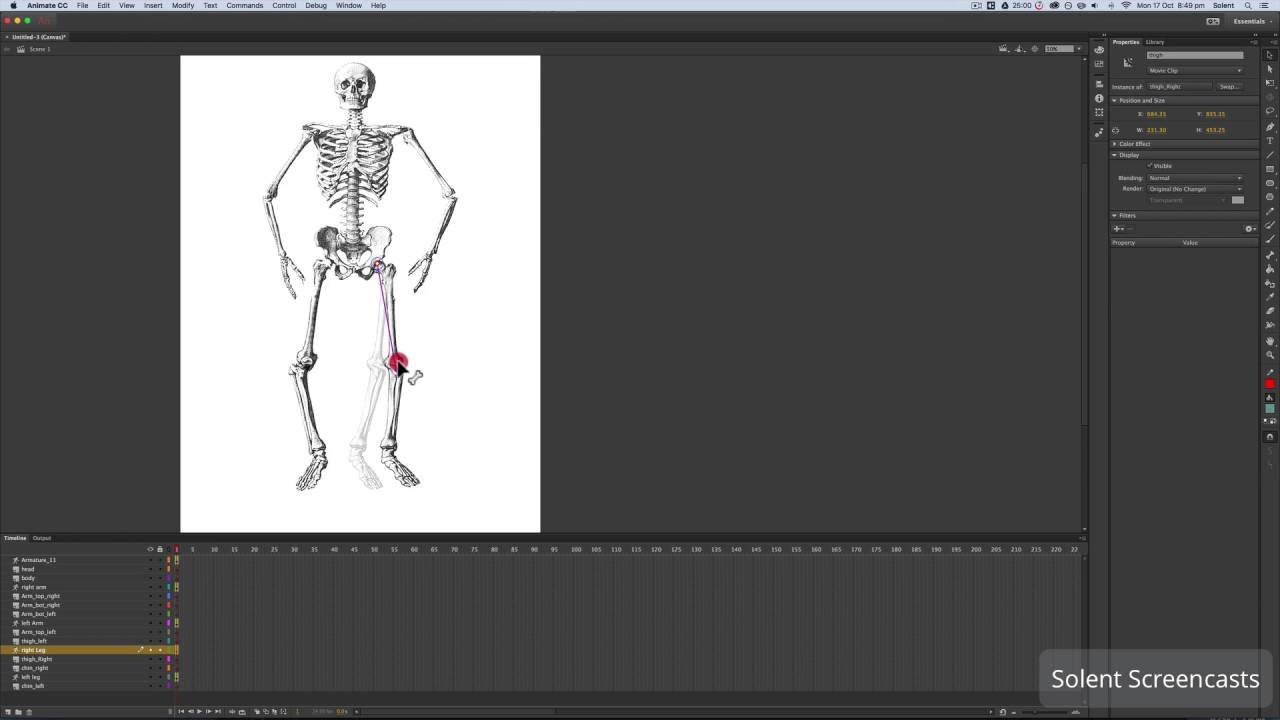 Adobe Animate Cc Bone Tool Animation Youtube
