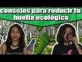 CALCULA y REDUCE tu huella ecológica | TUTOS