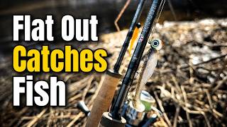 One Swimbait Setup That Catches Almost Everything