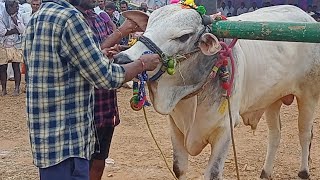 నయనాలప్ప ఆరు,ఆరు పల్ల లోపు విభాగం 6 వ జత