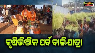 କୃଷିଭିତ୍ତିକ ପର୍ବ ବାଲିଯାତ୍ରା  ||Odisha Halchal