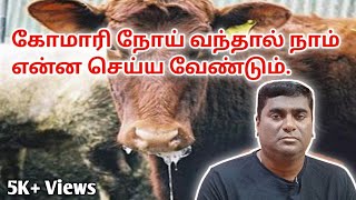 Foot and Mouth Disease | கோமாரி நோய் herbal treatment.