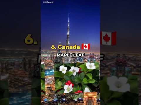 Which country has most beautiful flowers?