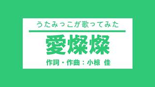 【うたみっこが歌ってみた】愛燦燦