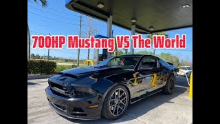 Mustang S197 5.0 supercharger VS the World