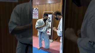 Kyokushin Power Body Punch Training