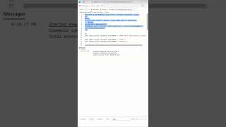 Dynamic T-SQL Tutorial and how to avoid SQL Injection Risks