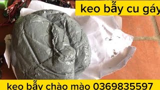 keo dính chân -keo bẫy cu gáy