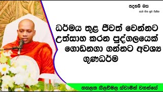 ධර්මය තුළ ජීවත් වෙන්නට....358Ven Hasalaka Seelawimala Thero