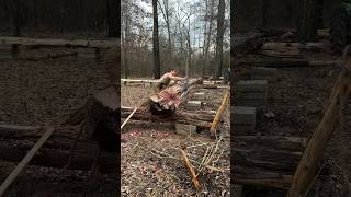 Cutting a Saddle notch! Building a Massive Log Cabin by Hand Part 6.5 #logcabin #cabin #saddlenotch