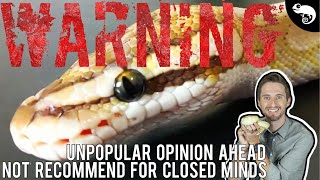 Why I Don't Have A Problem With Spider Ball Pythons