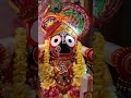 jagannath bhajan dukhi manisara sricharan mohanty odia bhajan