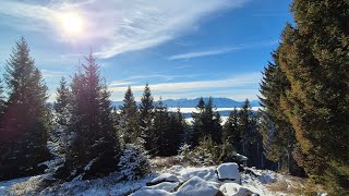 Košenjak (1522 m) | Planinski dom Košenjak