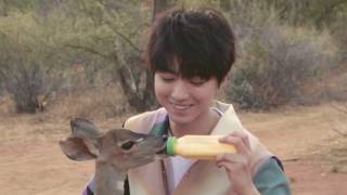 【TFBOYS 王俊凱】王俊凱餵小動物喝奶🦌🍼 溫柔暖心的小凱卻擔心它喝得很累😘😘😘【Karry Wang Junkai】