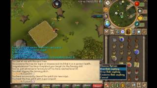 Runescape - Tree Farming Rune Guide 2012!