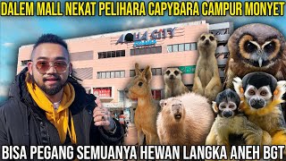 DALAM MALL NEKAT PELIHARA CAPYBARA CAMPUR MONYET. BISA PEGANG SEMUANYA HEWAN LANGKA ANEH BGT.