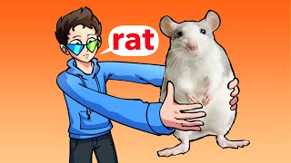 I Shook A Rat