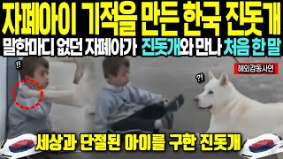 [해외감동사연]자폐아이 기적을 만든 한국 진돗개! 말 한마디 없던 자폐아가 진돗개와 만나 처음 한 말에 감동!!!