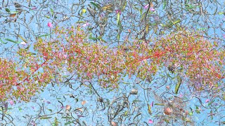 Jennifer Steinkamp at Landmarks