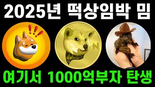 2025년 주목해야할 대폭등 임박 밈코인 TOP3