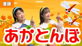 あかとんぼ【童謡】作詞:三木露風/作曲: 山田耕筰　日本の歌百選♪赤とんぼ・赤蜻蛉