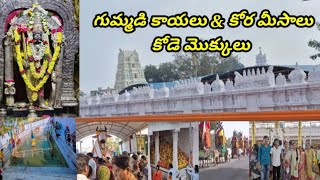 కొత్తకొండ వీరభద్రస్వామి దేవాలయం | Hanmakonda | kothakonda veerabhadra swamy Temple