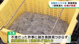 北限のシラス漁が始まる　水揚げは前年同様低調なスタート　宮城・名取市の閖上漁港